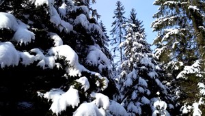 Počasie maľuje naše regióny. Kým na severe sa už lyžuje, na juhu ešte zbierajú plody