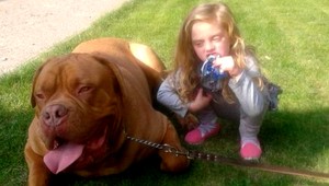 Na Lexi (†4) sa vyrútil pes, zabil ju