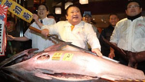 Tuniak sa na prvej tohtoročnej dražbe predal za 600 000 eur