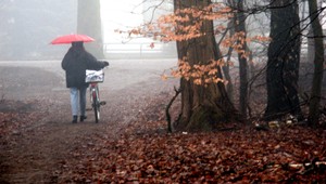 Začiatok týždňa bude teplejší, očakávajte ale hmlu