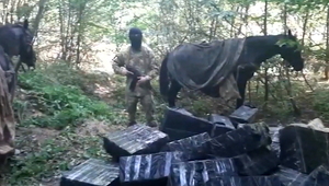 Pohraničnú stráž na ukrajinskej hranici prekvapili pašeráci na koňoch. Nezastavili ich ani varovné výstrely