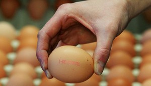 Vajcia zdražejú! Kvôli ekopravidlám chovu