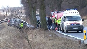 Líška na ceste. Odniesli si to plechy, okoloidúci brali šampóny