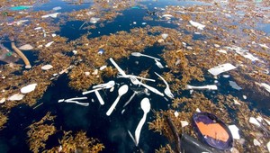 V priebehu niekoľkých rokov sa začali strácať prechodné obdobia. Jar a jeseň sa vytrácajú
