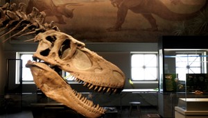 Dinosaury mali smolu, asteroid spadol priskoro