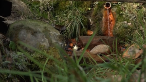 Obľúbené minerálne pramene pri Prešove už nespĺňajú normy pitnej vody