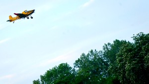 V Bratislave začali robiť postreky proti komárom