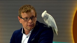 Inkognito, aké tu ešte nebolo. Počas vysielania jeden z hostí nečakane uletel