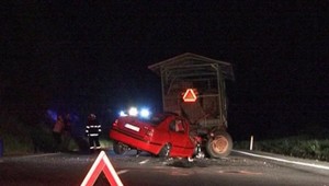 Agresívny roj včiel maril pri Zvolene záchrannú akciu