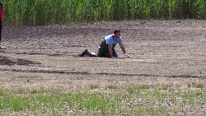 Dramatická záchrana srnky ohrozila aj hasičov. Hrozilo, že v bahne uviaznu s ňou
