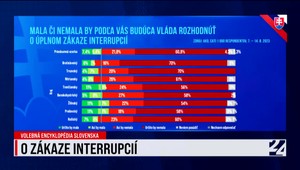 Volebná encyklopédia Slovenska a exkluzívny prieskum o úplnom zákaze interrupcií k 24. augustu
