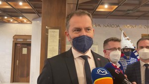 Matovič kope do SaS a tá mu to vracia. Mali by ste konzultovať s psychiatrom a nie politológom, zareagoval Štefančík