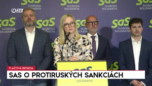 Tlačová beseda SaS o protiruských sankciách