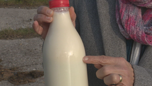 Návrat k pôvodnému typu mlieka: Aký je rozdiel medzi označením A2A2 a A1A2?