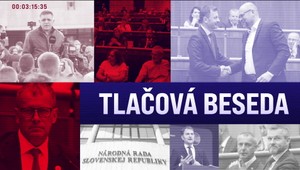 Tlačová beseda: Prieskum verejnej mienky