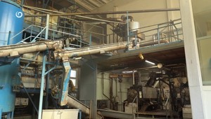 Nápor v kafilérii: Tisíce kusov dobytka z juhu Slovenska čakajú na likvidáciu