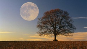 Dnes nás čaká SPLN mesiaca: Vplýva na spánok, chudnutie, náladu, či kvalitu pleti