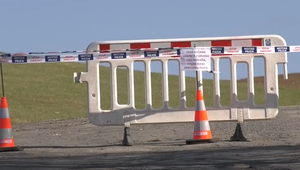 Nebezpečného medveďa z Liptovského Mikuláša by mali odchytiť v utorok