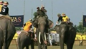 Kto si skúsi slonie pólo?