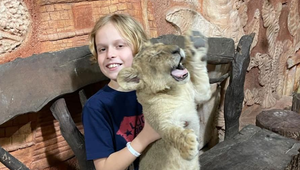 Je syn Borisa Kollára génius? Má 12 rokov a z priemeru sa výrazne vymyká!