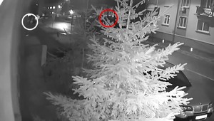 Prípad novoročnej vraždy Eriky v Michalovciach: Podľa polície sú svedkovia nevinní