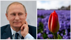 Odveta Rusov za sankcie. Nechcú holandské kvety