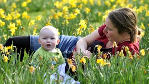 Nákup a predaj cez bazár. Pre mamičky je každý cent dobrý