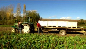 Zneužívaním eurofondov sa zaoberal Europarlament