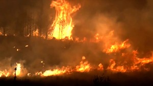 Rozsiahly požiar zničil obrovský kus lesa na Kysuciach