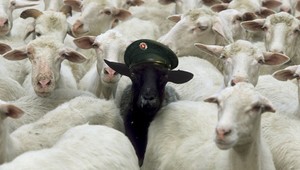 Až 146 obvinení padlo na hlavy policajtov