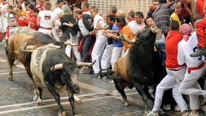 Býk zabil 19-ročného mladíka