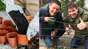 Záhradkári, je ideálny čas na predpestovanie priesad: Pozor, túto chybu robíme mnohí!