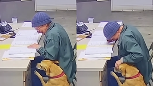 Milióny ľudí dojala starenka, ktorá sa musela rozlúčiť so psíkom. Ide o podvod