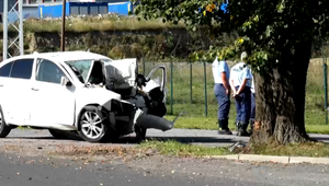 Siahol si na život sám? Vodič neprežil náraz do stromu