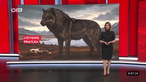 Svet 24 o robotoch aj oživení pravlka