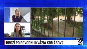 Štúdio 24: Hrozí po povodni invázia komárov?