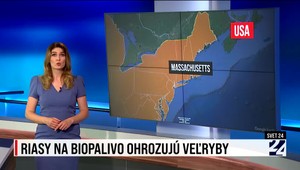 Svet 24 o riasach, ktoré ohrozujú veľryby i čerstvo odhalených tajomstvách spod lávového popola