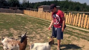 Mnohé deti už len zriedka stretnú skutočné zvieratá. Nevedia ani, ako sa k nim majú chovať