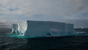 V Rossovom mori vznikne najväčšia prírodná rezervácia