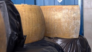 Nevídaný kontraband. Colníci zadržali takmer 1500 kilogramov syra