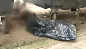 Pri kontajneroch na sídlisku niketo odhodil pozostatky vypitvaného daniela