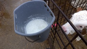 Tri mliečne krízy napáchali veľa škôd. Riešením nie sú ani dotácie. Farmári to ale nevzdávajú