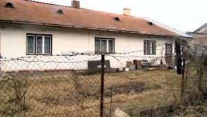 Krompašania našli vyhladovaného psa, bol priviazaný na reťazi