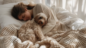 Vedeli ste? Väčšina žien sa budí menej, keď spí so psom než s partnerom!