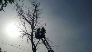 Hasiči museli pre nepriaznivé počasie zasahovať v niekoľkých krajoch