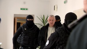 Mal zbiť manželku a hodiť ju do klietky k levici. Žena na súde tvrdila, že vo väzení má byť ona