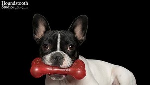 FOTO: Bez ochkania to prosto nejde. Týchto 10 chlpáčov vás svojou roztomilosťou dostane do kolien