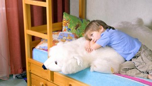 Chlapec (7) predával na ulici medvedíka, chcel kúpiť jedlo súrodencom