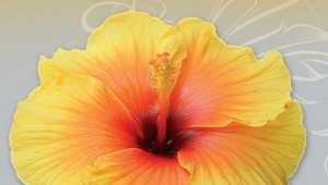 Je to naozaj len Ilúzia šťastia? Oddýchnite si pri skvelej knižnej novinke