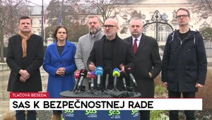 Tlačová beseda strany SaS k Bezpečnostnej rade